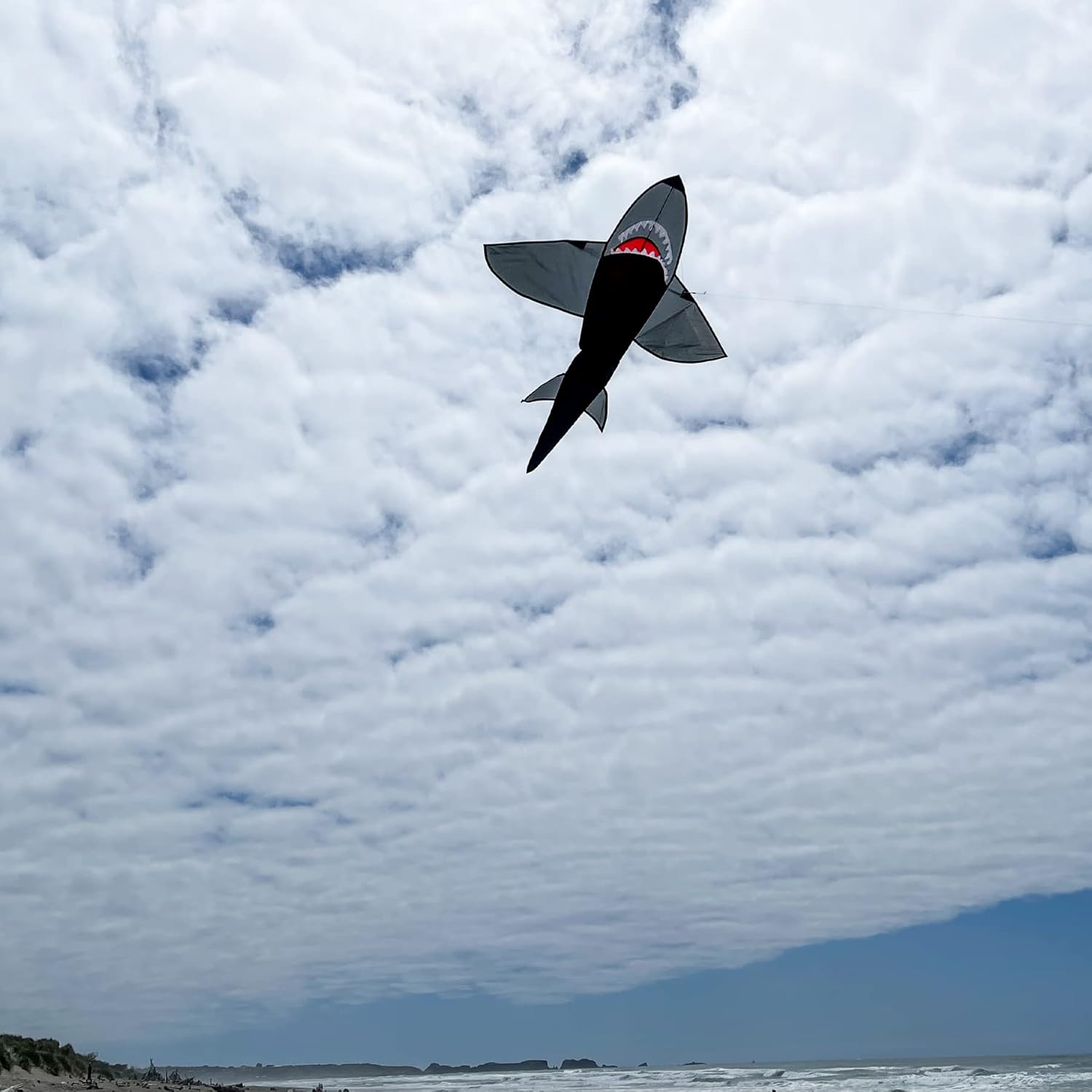 5' Black 3D Shark Kite