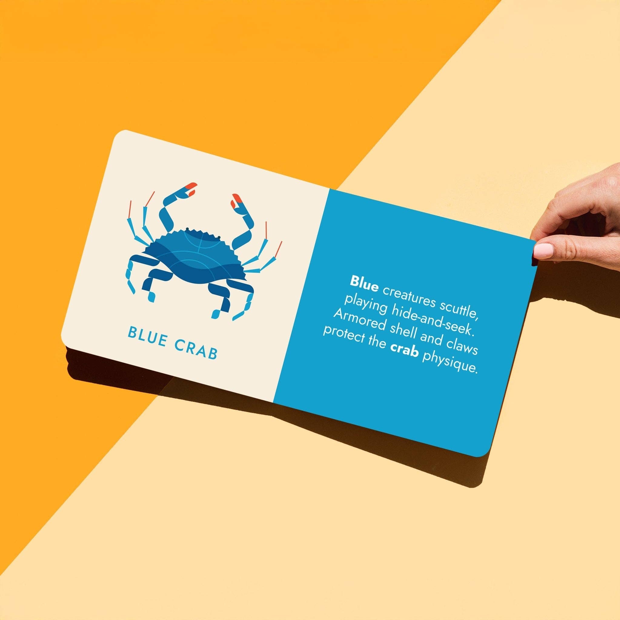 Seafood Rainbow Board Book