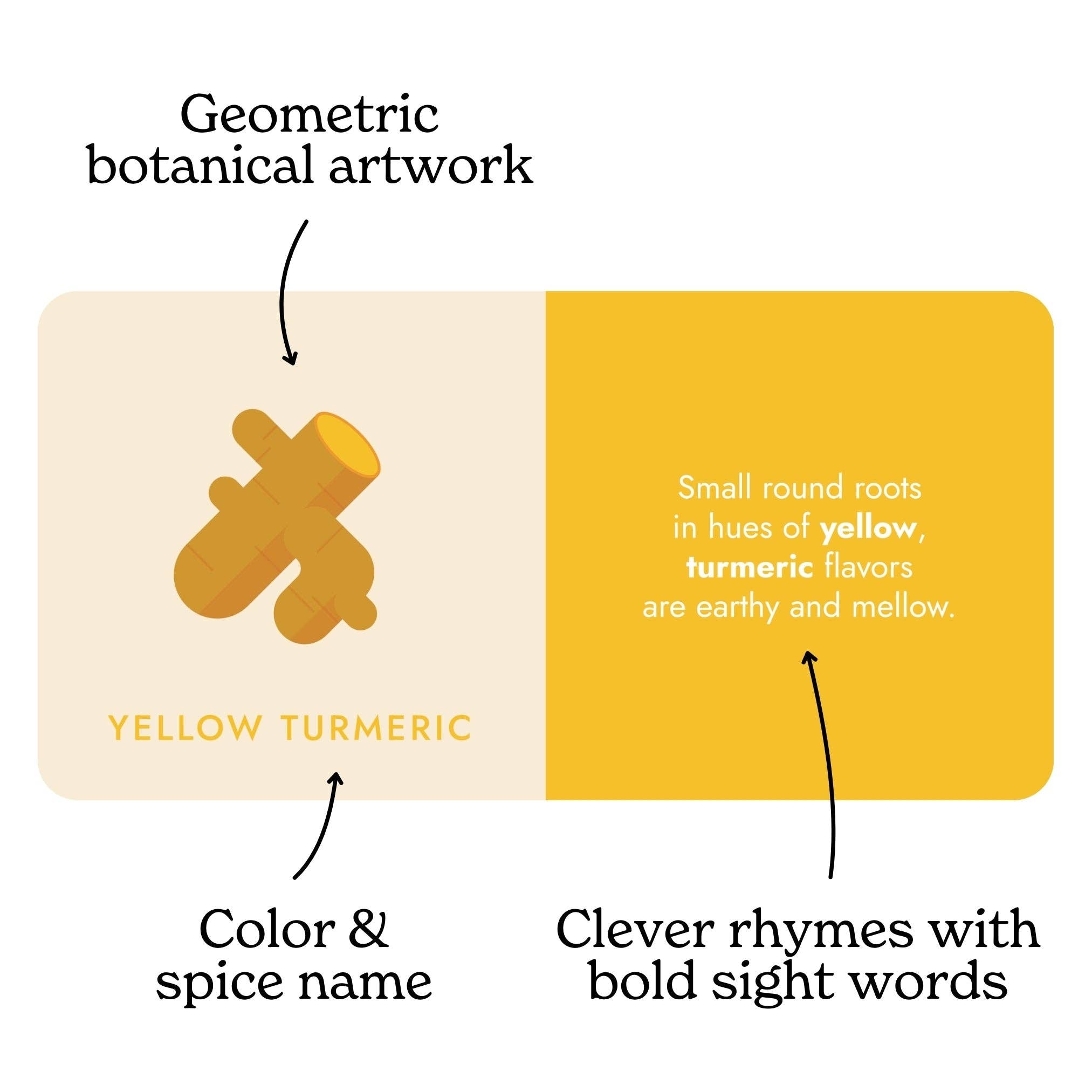 Spice Rainbow Board Book
