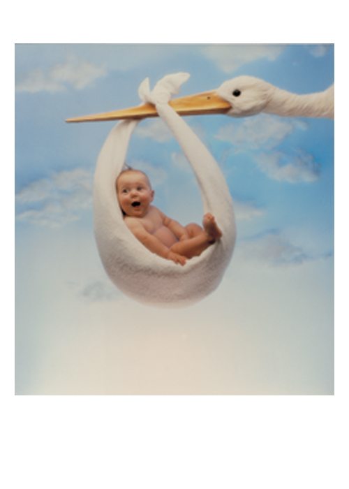 New Baby Card Stork
