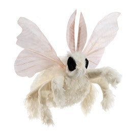 Moth, Poodle