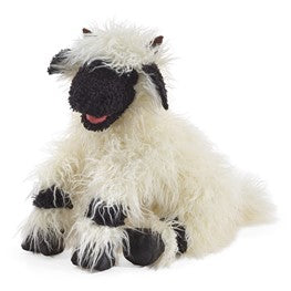 Sheep, Valais Blacknose
