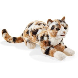 Cat, Calico